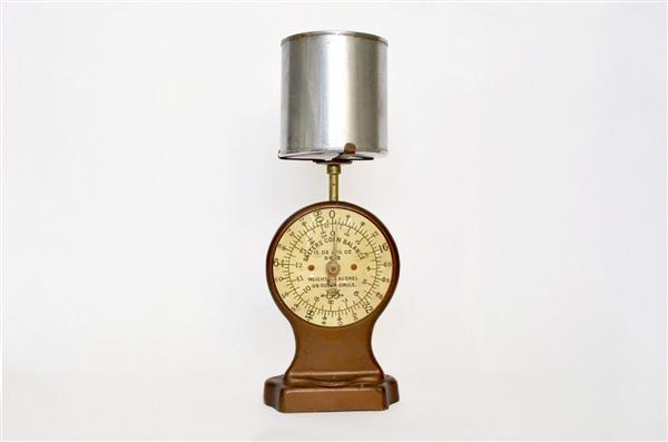 Весы для зерна Salter фото